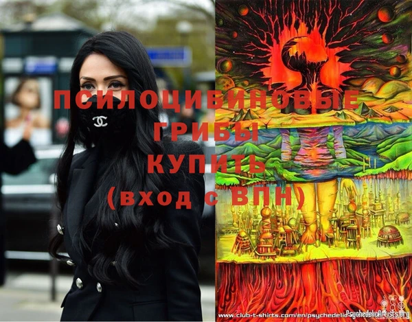 прущие грибы Дмитровск