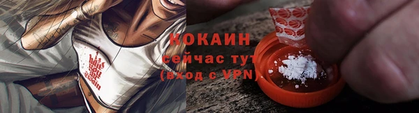 прущие грибы Дмитровск