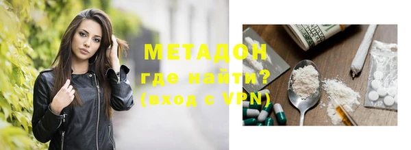 прущие грибы Дмитровск