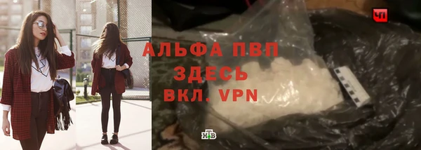 прущие грибы Дмитровск