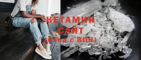прущие грибы Дмитровск