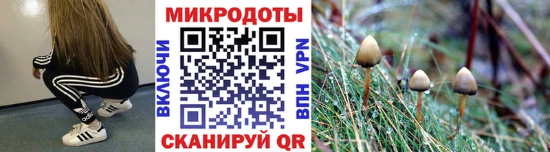 Псилоцибиновые грибы прущие грибы  darknet наркотические препараты  Рубцовск 